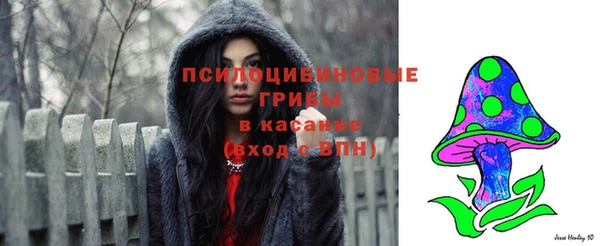 ПСИЛОЦИБИНОВЫЕ ГРИБЫ Алзамай