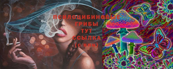 ПСИЛОЦИБИНОВЫЕ ГРИБЫ Алзамай