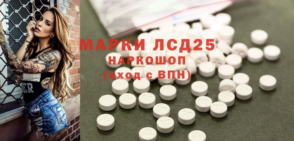 ПСИЛОЦИБИНОВЫЕ ГРИБЫ Алзамай