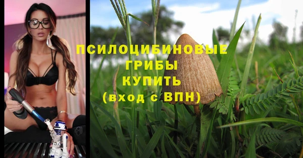 ПСИЛОЦИБИНОВЫЕ ГРИБЫ Алзамай